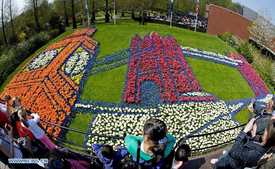 Tulipánok, Hollandia